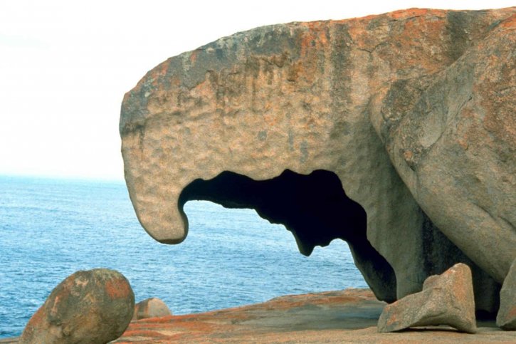 kangourou, île, rocher, formation