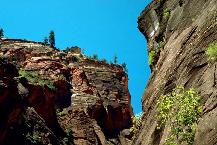 Zion national park, naturlige, rock, formationer, landskab