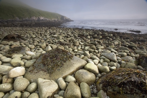 lớn, đá, bãi biển