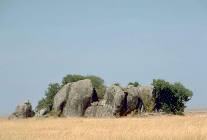 kopjes, 세 렝 게티, 국립공원, 탄자니아, 아프리카, 프리