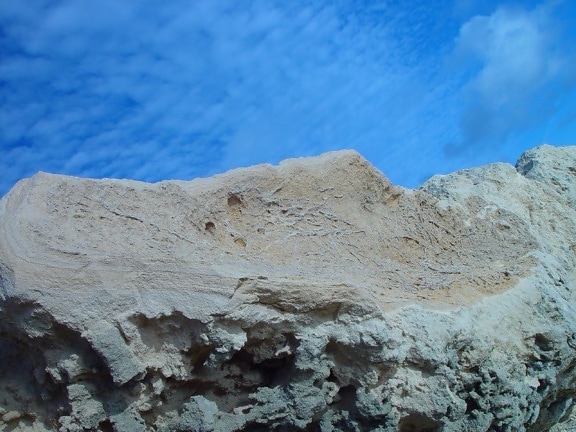 root, fossils, limestone, hillaries