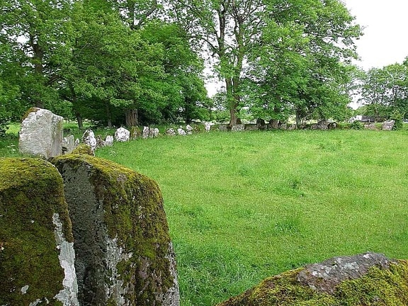 stone, circles, grange, Ireland, trees, moss, rocks