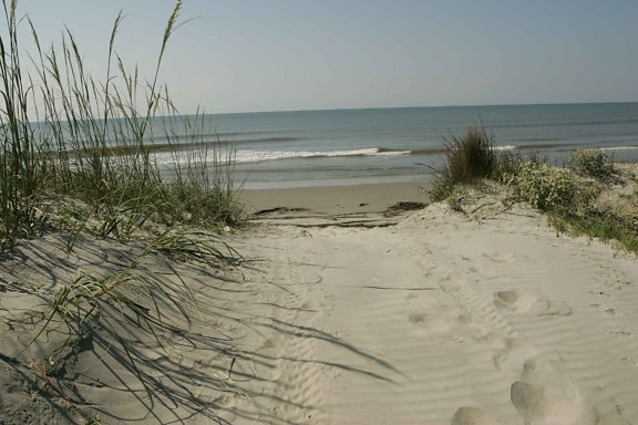 beautiful, ocean, entrance, dunes