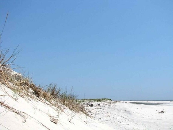 de près, dune, plage