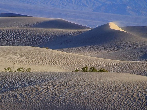 púšte, piesok, duny, stopy