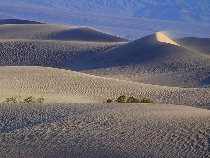 пустынь, песок, дюны, треки