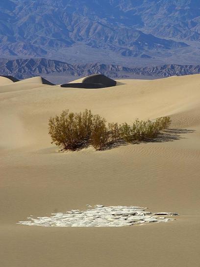 duny, pouštní