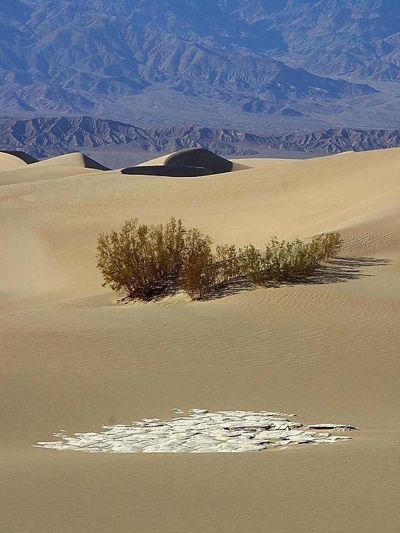 dunes, desert