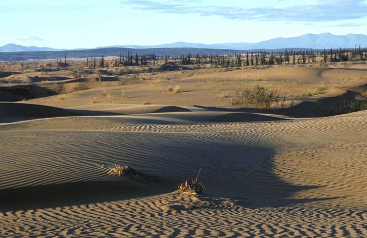 nogahabara, песок, дюны, scenics
