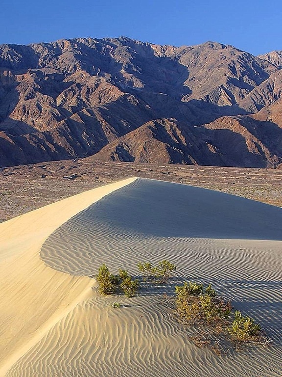 Пясъчни дюни