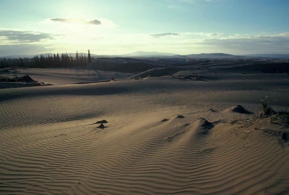 sand, dunes, sunrise, senic