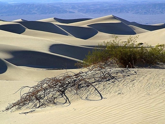 sand, dunes, desert