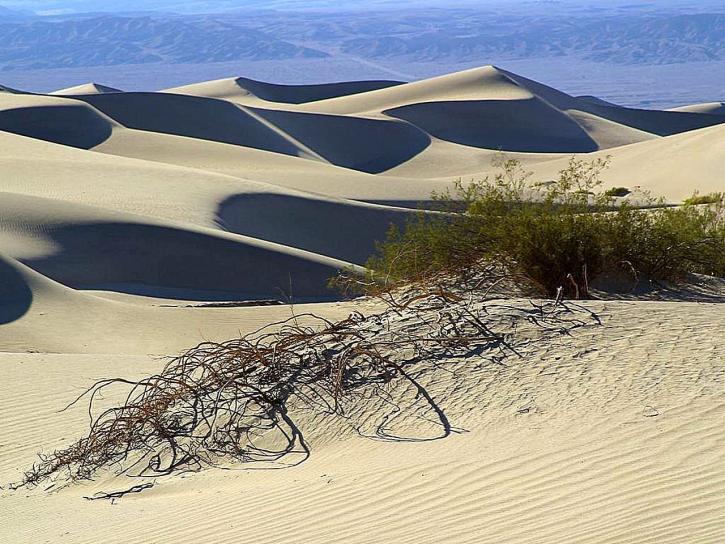 sable, dunes, désert