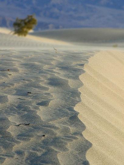 piaszczyste wydmy, pustynie, piasek, wiatr wieje