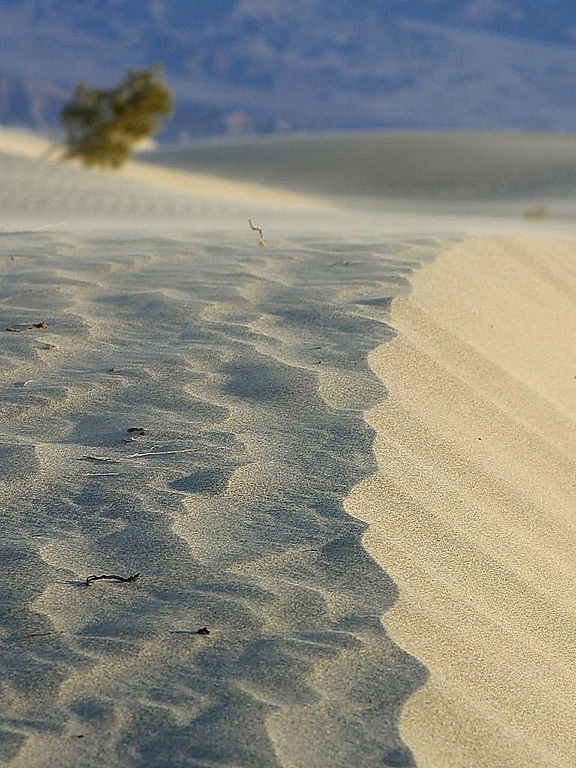 sand dunes, deserts, sand, wind blowing
