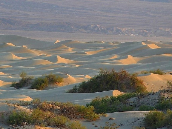 homok, a dűnék, a sivatagok, a halál, a völgyben