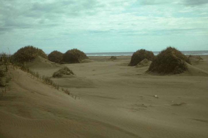 sable, dunes, Nunivak, île