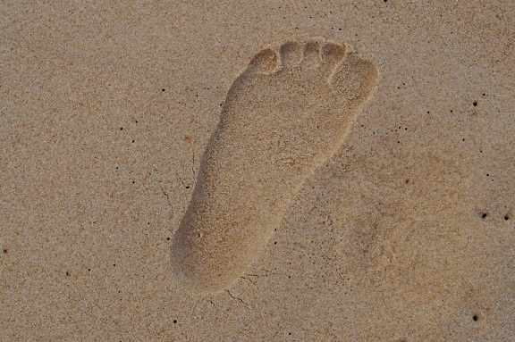 발자국, 모래