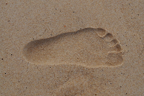 stopa, mokrý, piesok