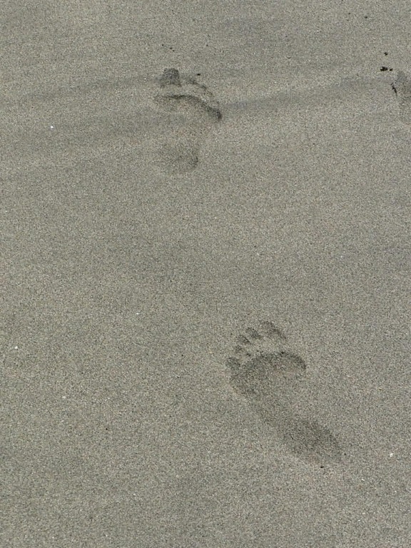 stopy, ľudské, pláž, piesok