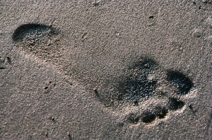 인간, 발자국, 모래