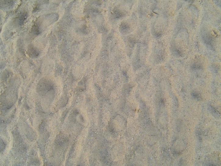 砂の背景