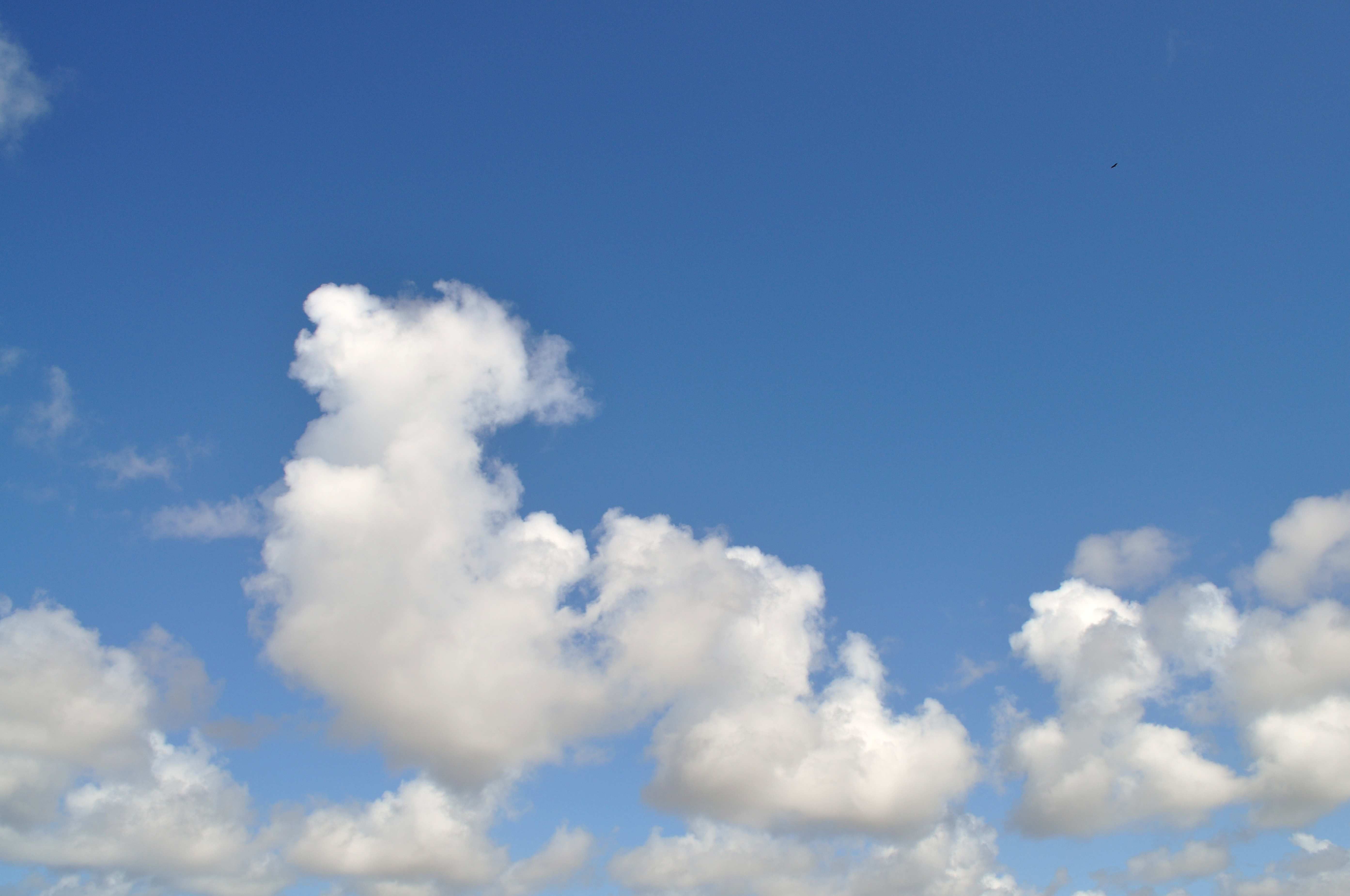 Приложение небо. Маленькое облачко на небе. Маленькие облака на небе. Мало облаков. Облако в форме дома.