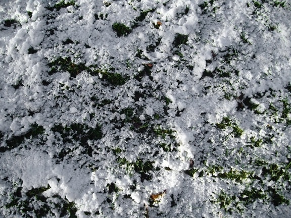 snow, icy, grass, ground, winter