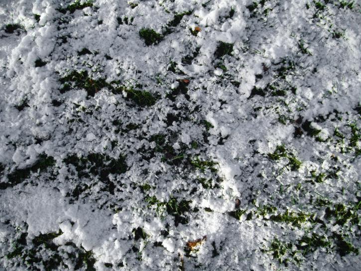น้ำแข็ง หิมะ หญ้า ดิน ฤดูหนาว