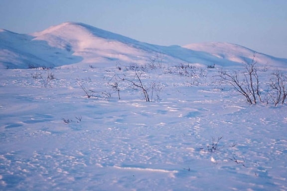 dolina, Stanovi, pokriveno, snijeg