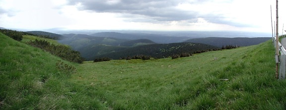 green, view