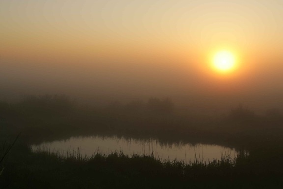 fogy, Схід сонця