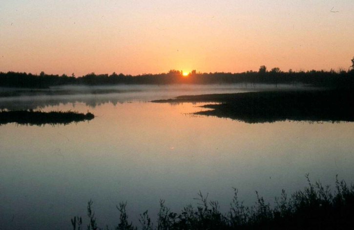 solopgang, marsh land, sø, solen