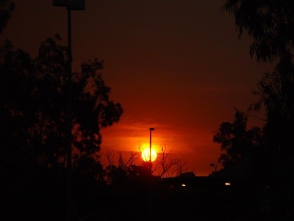 bushfire, sunset
