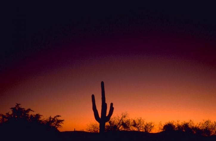 Sabino, kanion, Arizona, zachód słońca