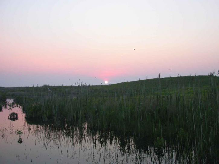 matahari terbenam, marsh