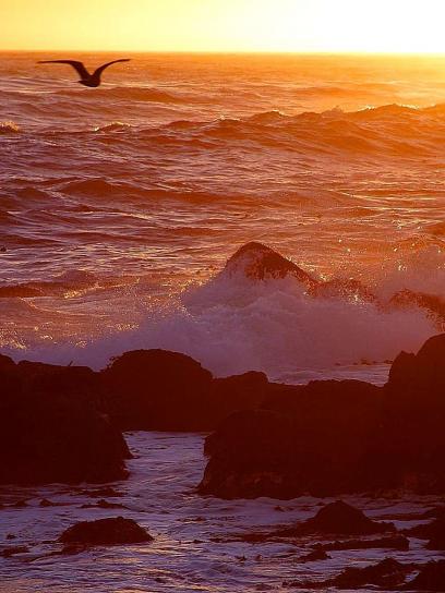 zonsondergangen, Oceaan