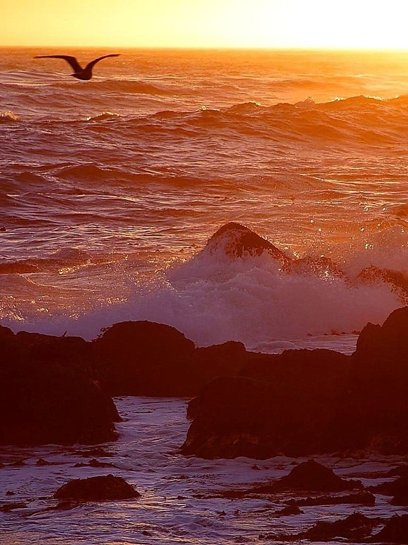 couchers de soleil, l'océan