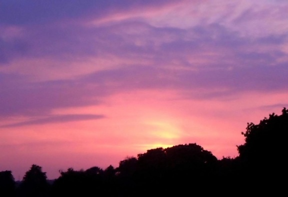 sunsets, purple
