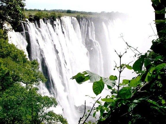 espectacular, Victoria, caídas, vista, punto, bosque, Zambia