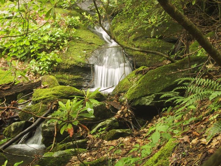 waterfall, stream, running, mossy, glen