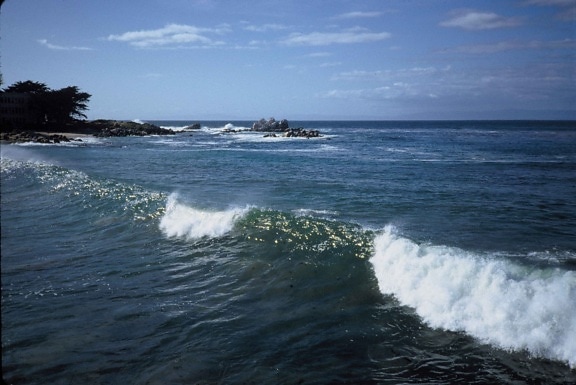 môi trường ven biển, sóng, scenics