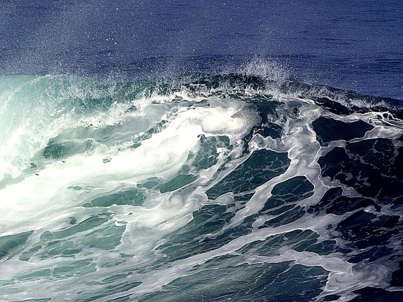 wave, ocean, wind