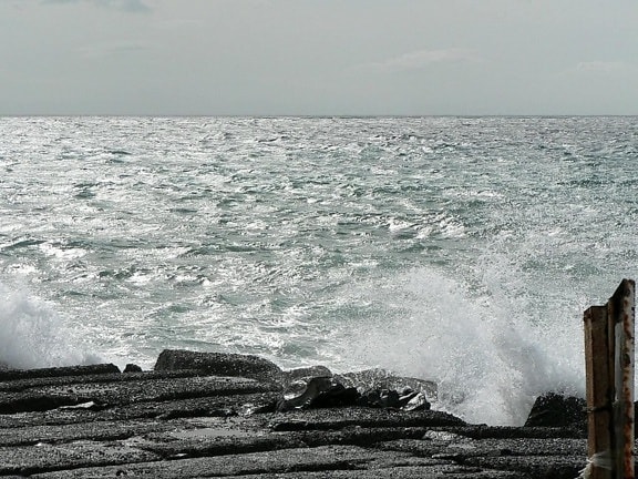 bølge, bryde, ocean beach