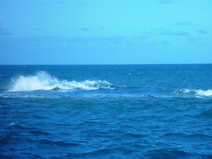 wave, open, sea