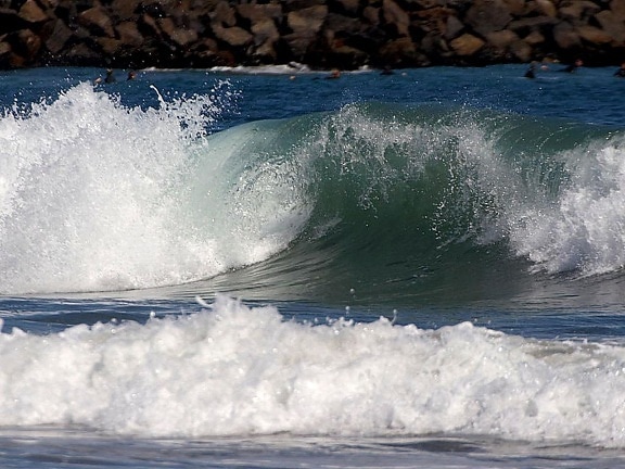 vagues, les surfeurs