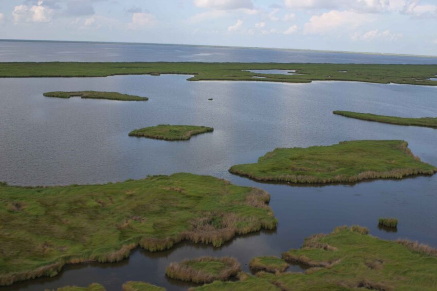 free-picture-aerial-marsh