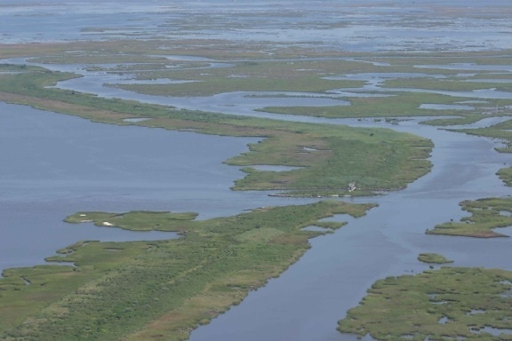 aerial, marsh, swamp, landscape