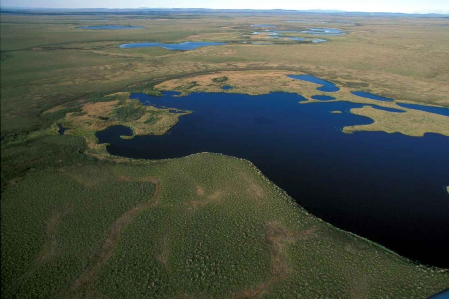 Водно-болотные угодья ЯНАО. Водно-болотные угодья Ямало-Ненецкий округ. Водно-болотные угодья Казахстана.