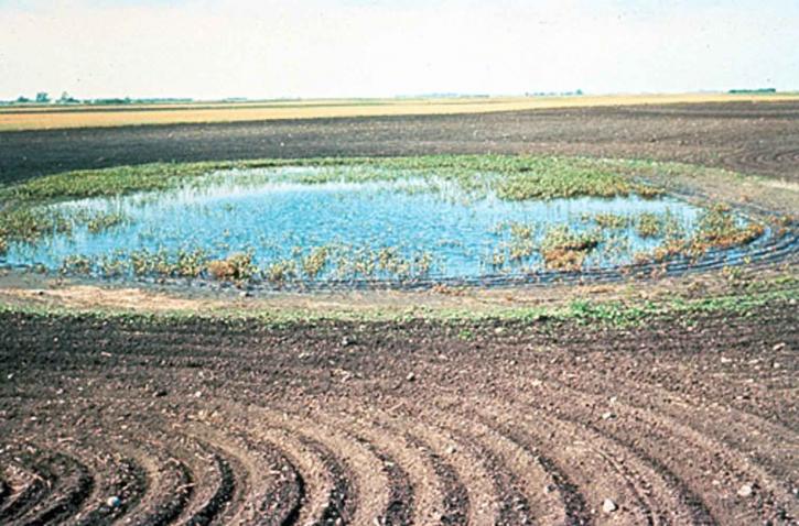 nông nghiệp, ảnh hưởng đến, vùng đất ngập nước, các lĩnh vực nông nghiệp,